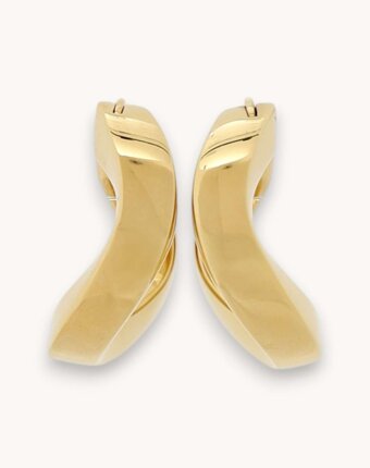 Celine Earrings женщинам