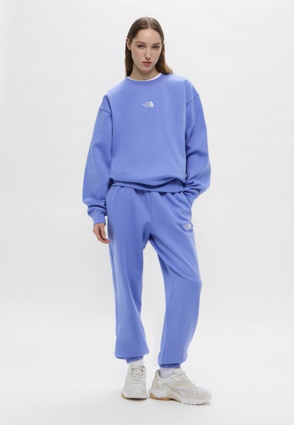 Брюки спортивные The North Face