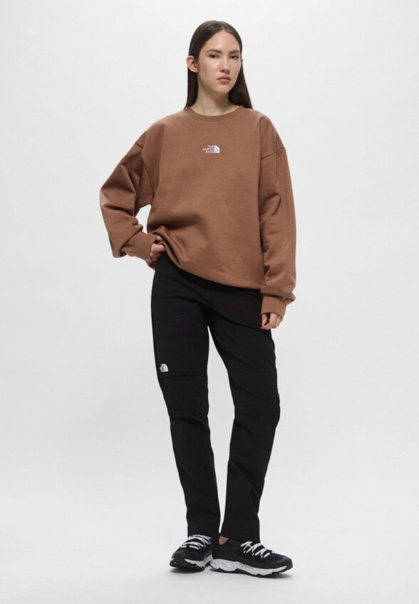 Брюки спортивные The North Face