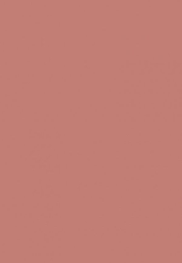 Бальзам оттеночный для губ Influence Beauty