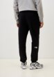 Брюки спортивные The North Face3  - превью