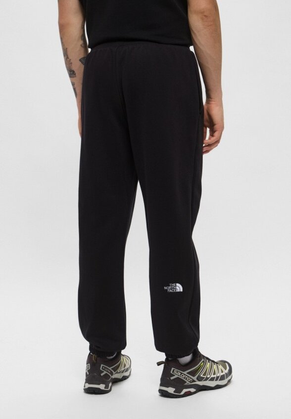 Брюки спортивные The North Face