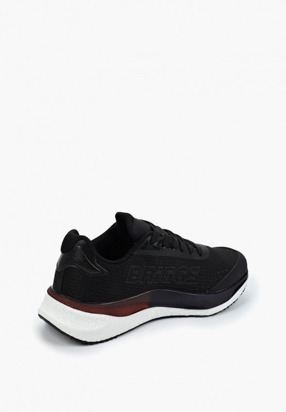 Кроссовки Briggs