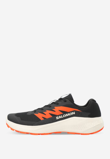 Кроссовки мужские Salomon Alphaglide, Черный