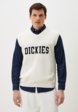 Жилет Dickies1  - превью