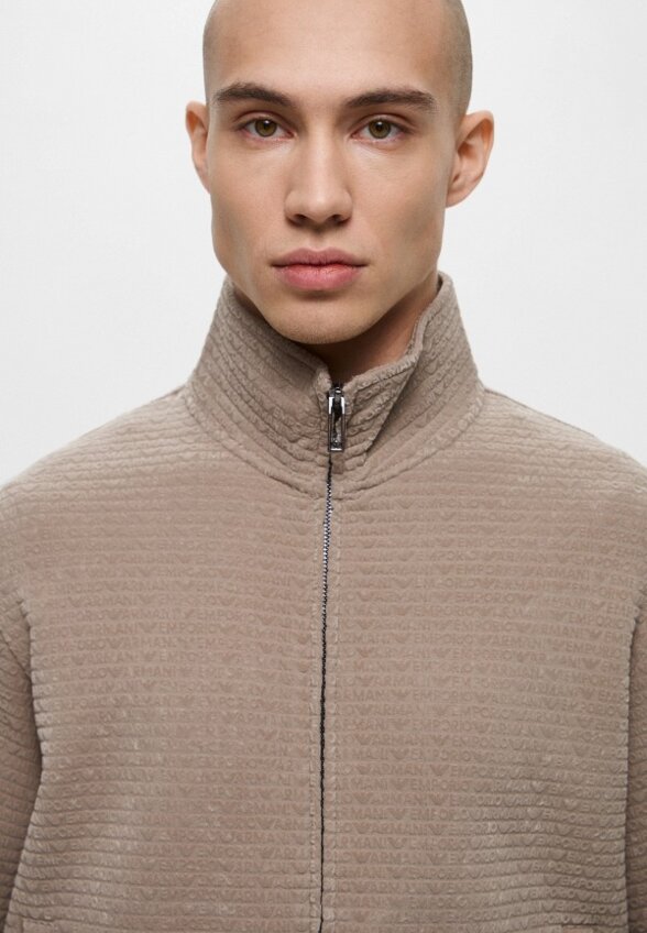 Олимпийка Emporio Armani