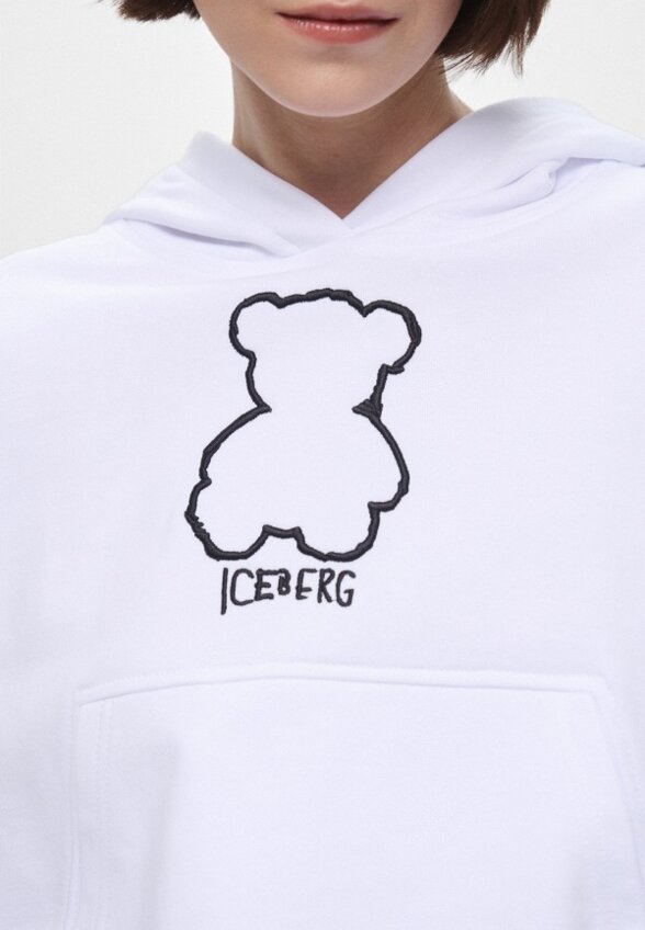 Худи Iceberg