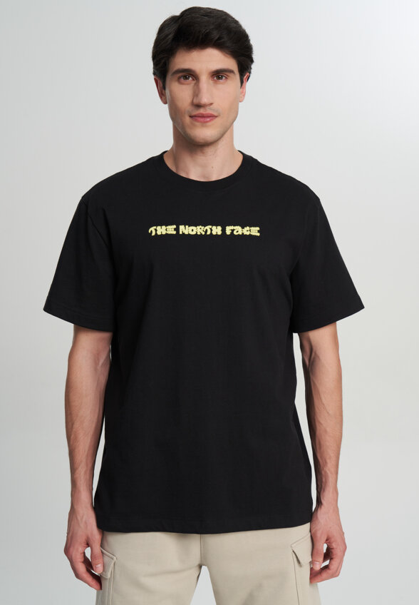 Футболка мужская The North Face Logo Twist, Черный