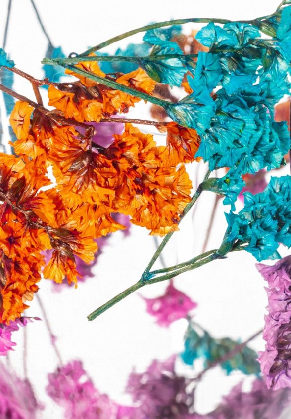 Набор кружек Elan Gallery