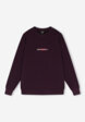Свитшот мужской оверсайз Quiksilver Mercury Trident Crew, Красный8  - превью