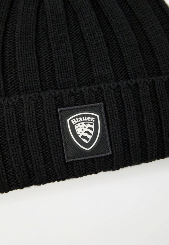 Шапка Blauer USA