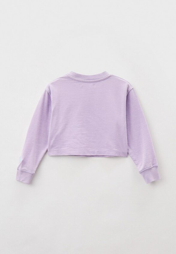 Свитшот Replay