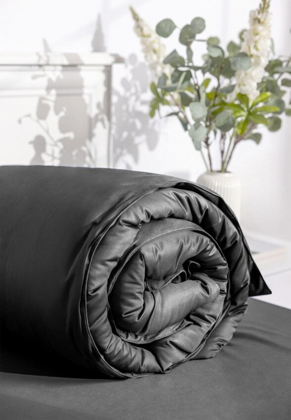 Постельное белье Евро Soft Silver