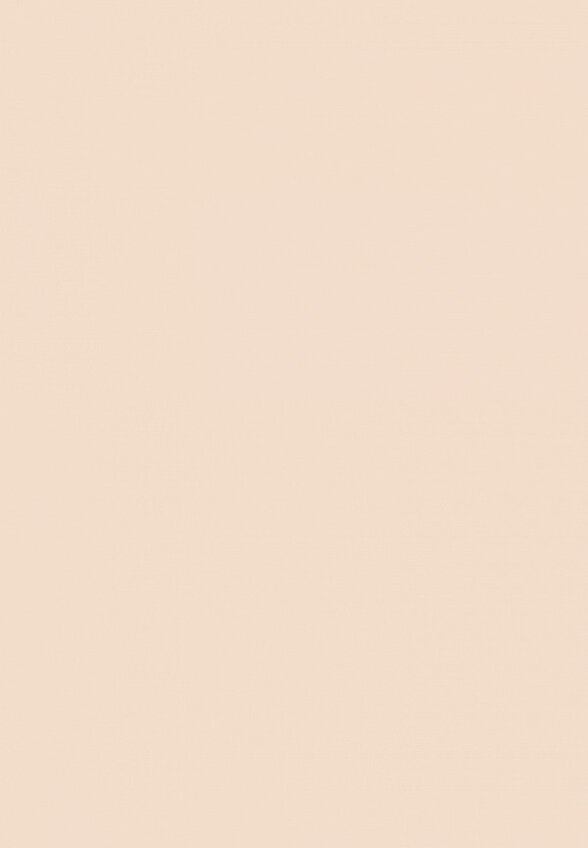 Пудра компактная Zeesea