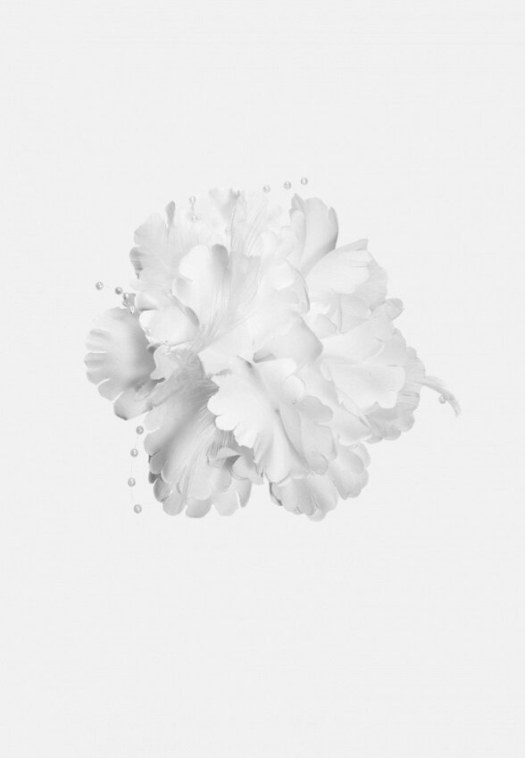 Заколка-зажим Yula