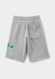 Шорты спортивные adidas Originals2  - превью