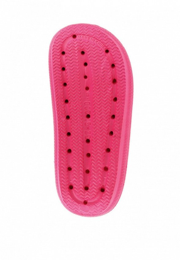 Сланцы De Fonseca