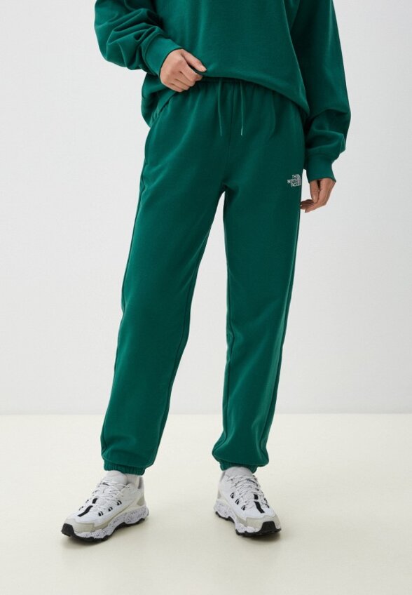 Брюки спортивные The North Face