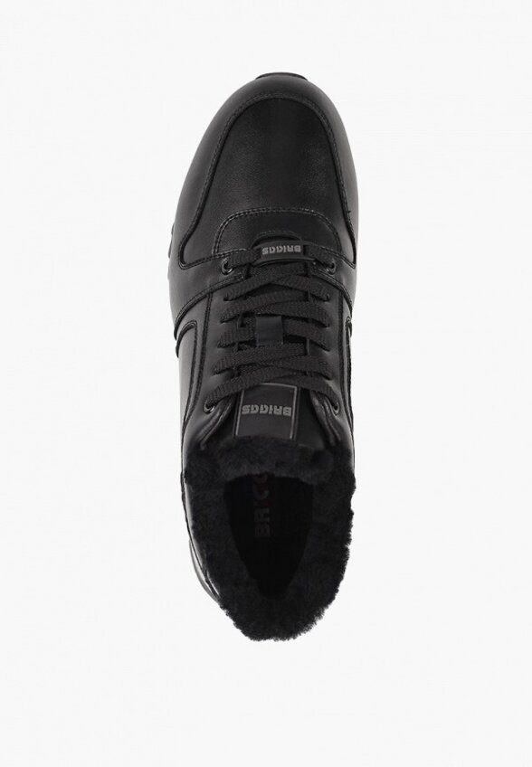 Кроссовки Briggs