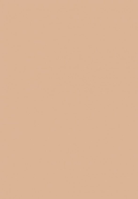 Пудра компактная Revolution