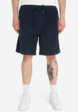 Шорты мужские Quiksilver Taxer Cord, Синий2  - превью