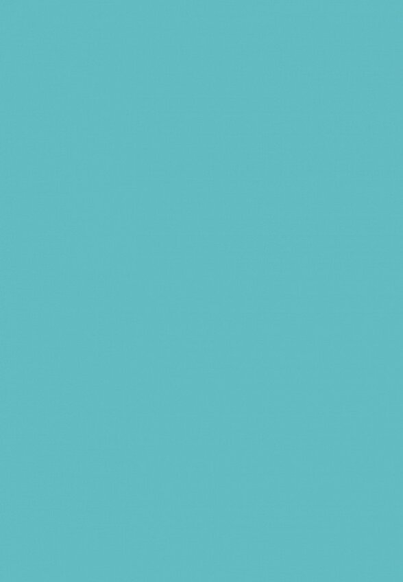 Блестки Influence Beauty