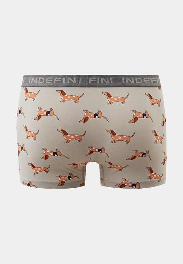Трусы Indefini