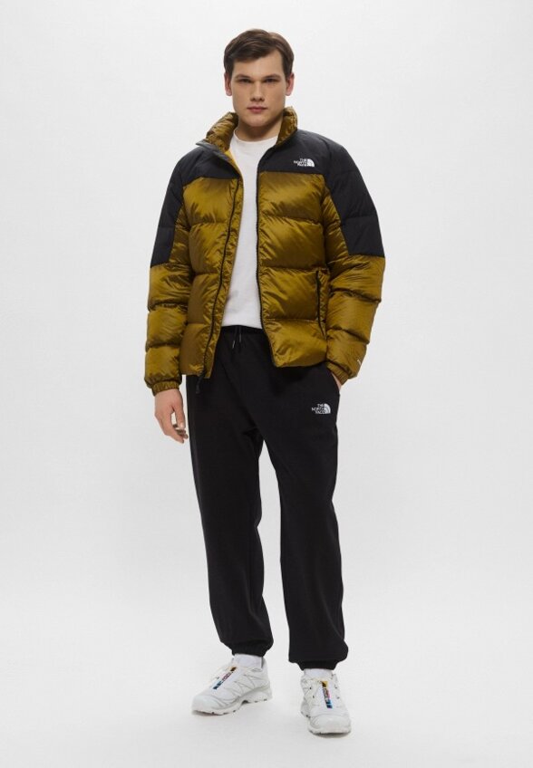 Пуховик The North Face