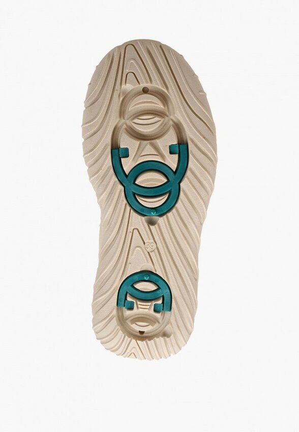 Дутики Ascalini