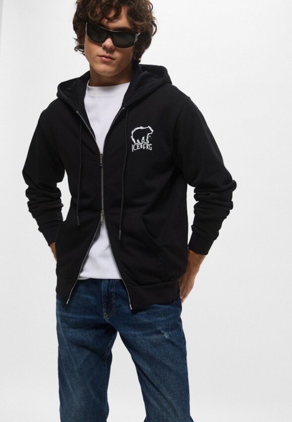 Толстовка Iceberg
