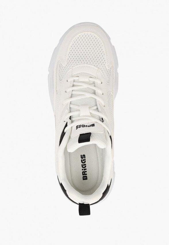 Кроссовки Briggs