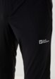 Брюки спортивные Jack Wolfskin4  - превью
