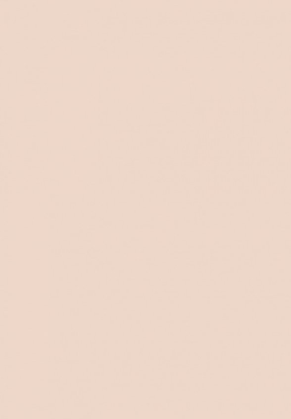 Корректор Delilah