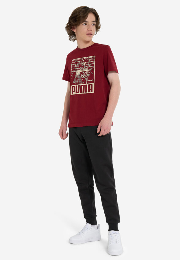 Футболка для мальчиков PUMA ESS+ Mid 90s Graphic, Красный