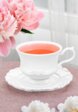 Чашка с блюдцем Elan Gallery6  - превью