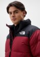 Пуховик The North Face4  - превью