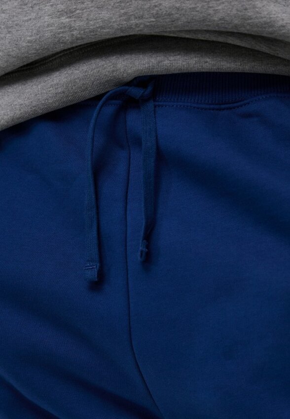 Брюки спортивные The North Face