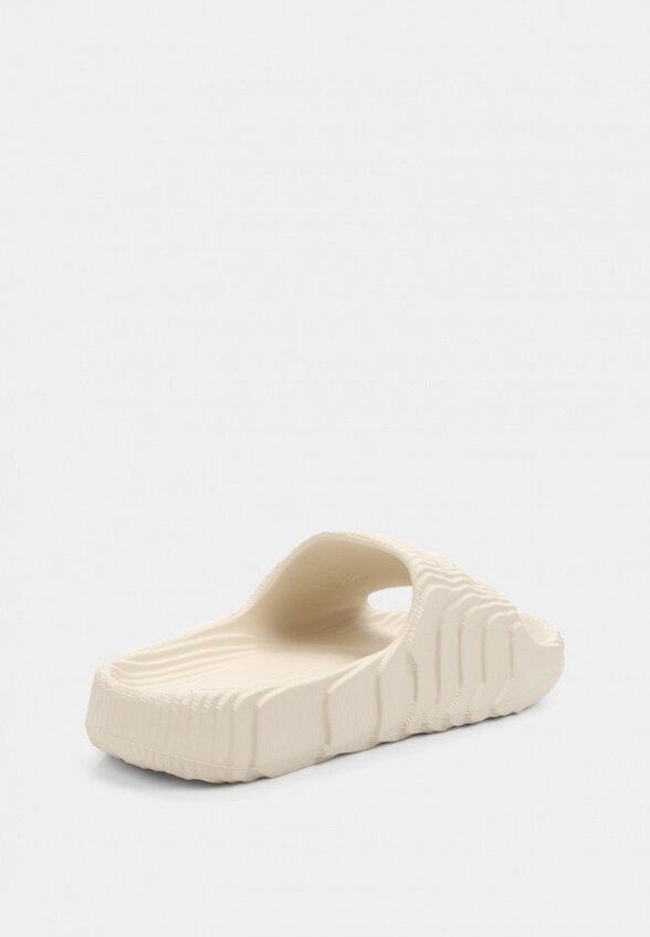 Сланцы Indefini