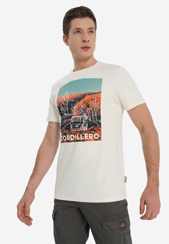 Футболка мужская оверсайз Cordillero, Бежевый