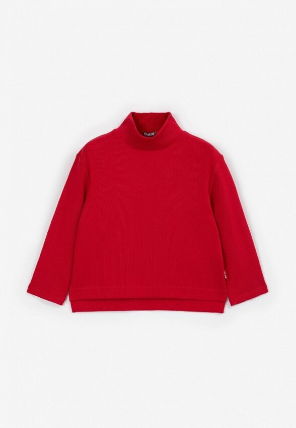 Водолазка Gulliver