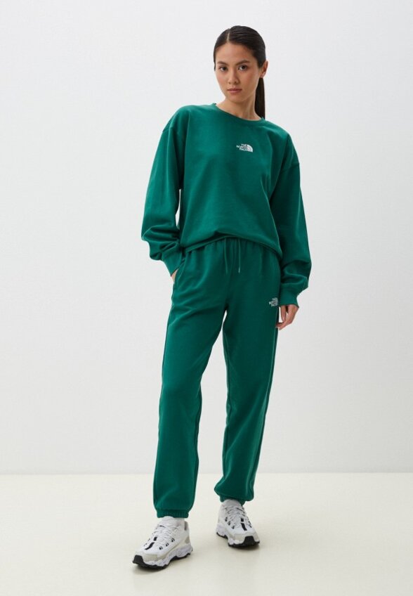 Брюки спортивные The North Face