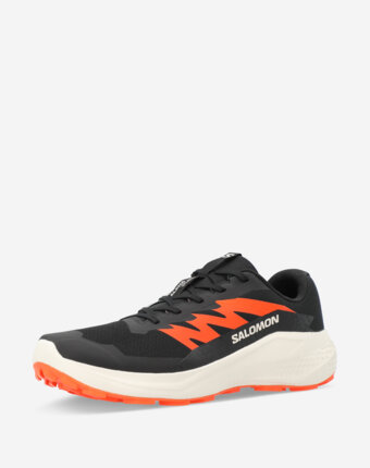Кроссовки мужские Salomon Alphaglide, Черный женщинам