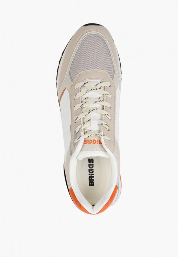 Кроссовки Briggs