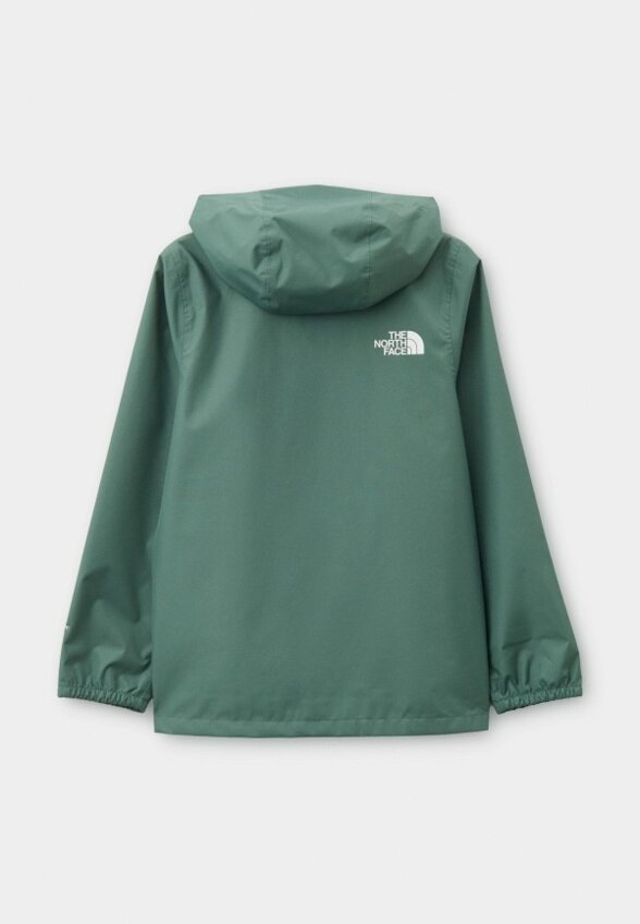 Ветровка The North Face
