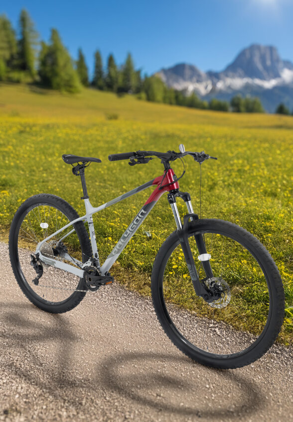 Велосипед горный Polygon Xtrada 5 29