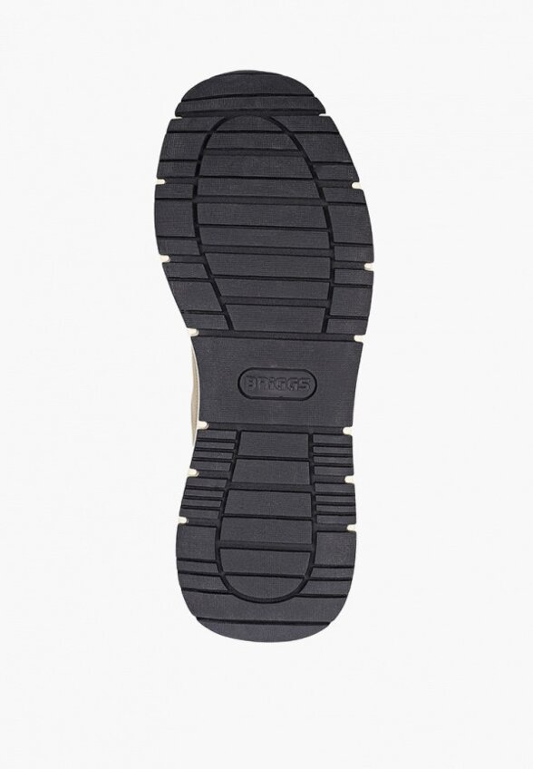 Кроссовки Briggs