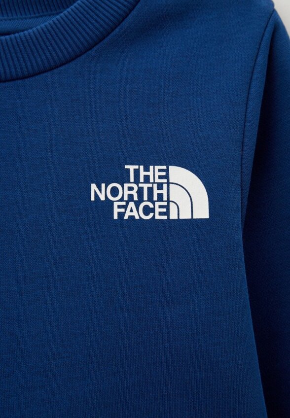 Свитшот The North Face