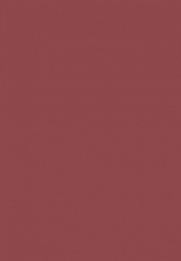 Помада Clarins