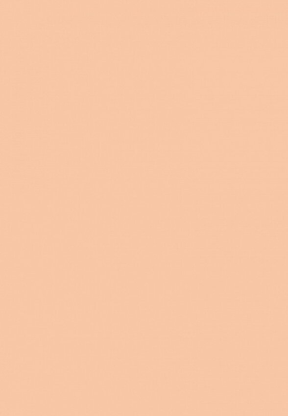 Пудра компактная Inglot