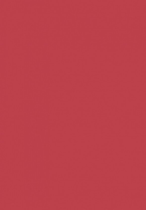 Помада жидкая Arive Makeup